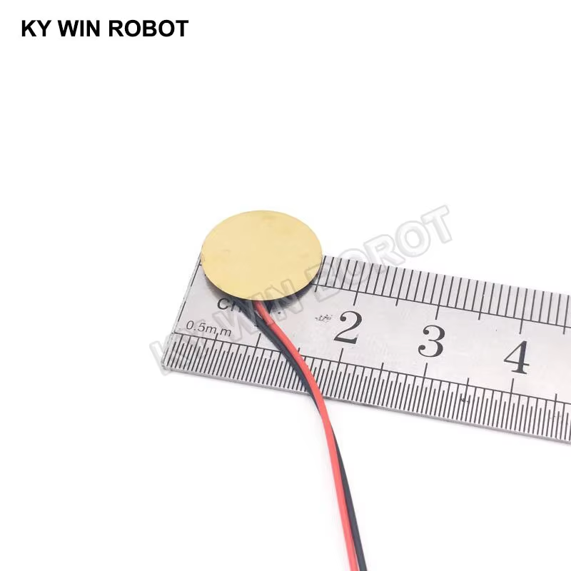 10 Pcs Piezoelectric Piezo Cer - đánh giá và giá R/Diy Electronics